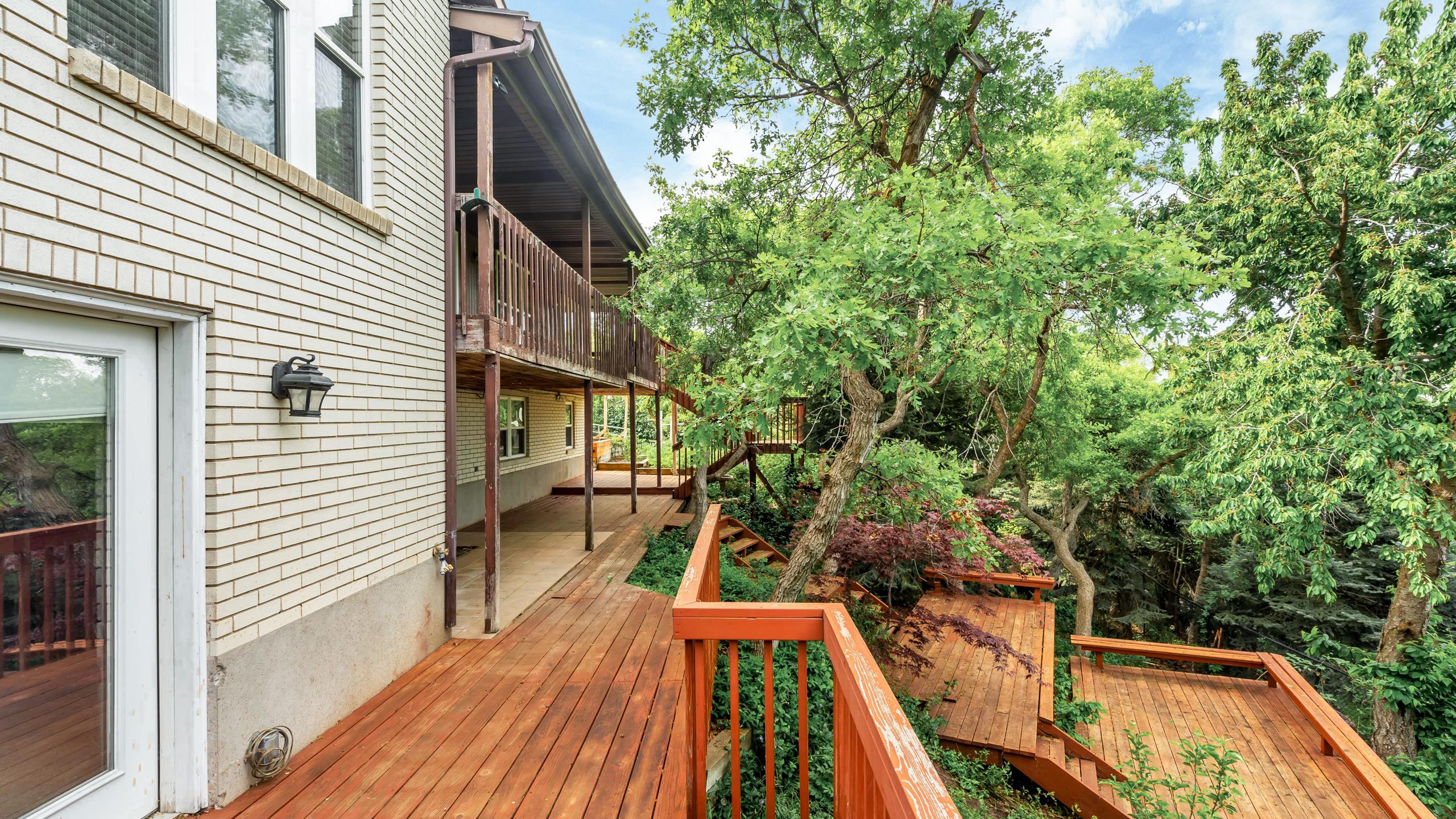 Oak Lane Put Down Roots